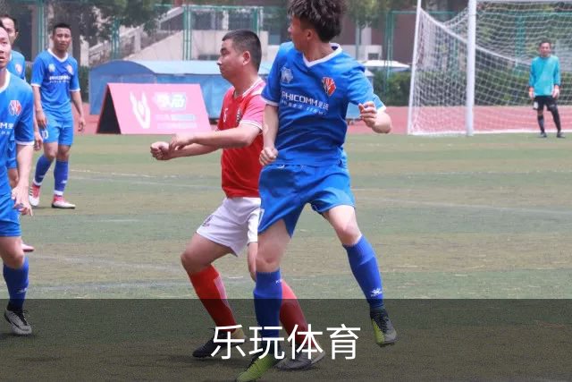 乐玩体育团队与业务介绍
